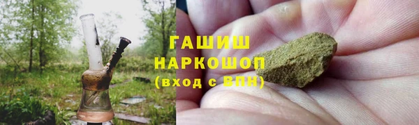 гидра Белокуриха