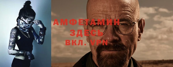 гидра Белокуриха