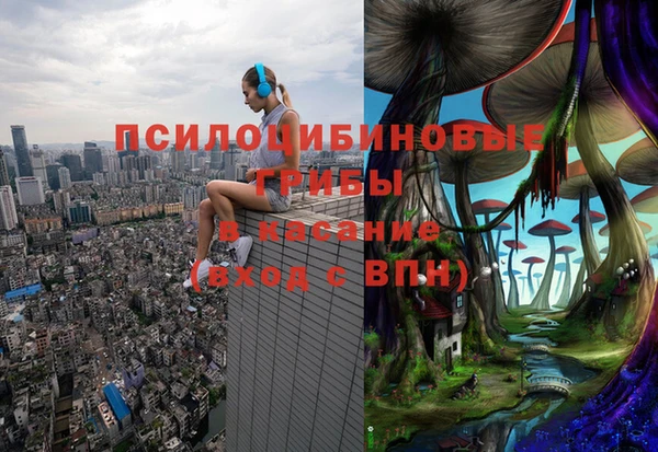 гидра Белоозёрский