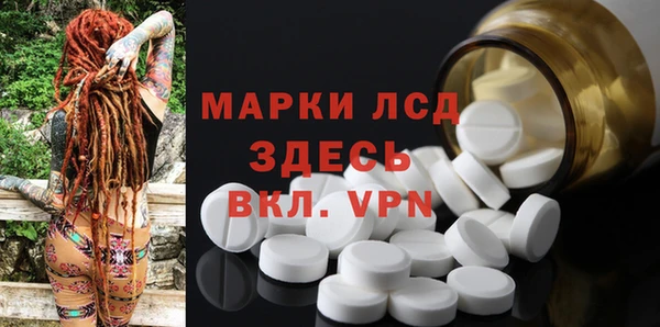 гидра Белокуриха