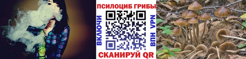 hydra как зайти  Сегежа  Псилоцибиновые грибы Psilocybine cubensis 