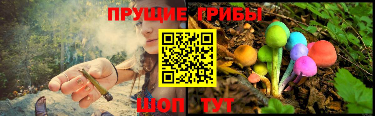 Псилоцибиновые грибы мицелий  Вход с VPN  Псилоцибиновые грибы Psilocybe  Сегежа 