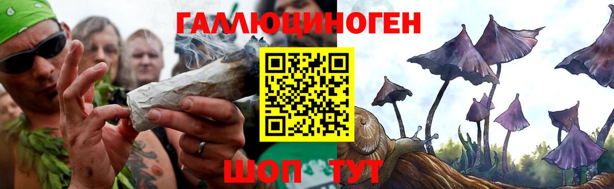 Галлюциногенные грибы Magic Shrooms Сегежа
